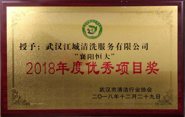 2018年度“襄陽(yáng)恒大”獲得項(xiàng)目獎(jiǎng)