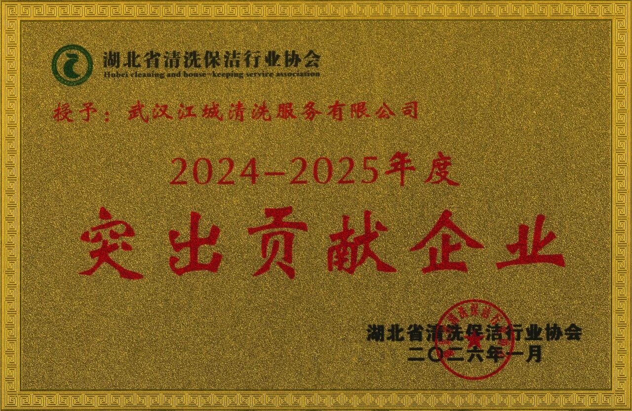 江城清洗—突出貢獻企業(yè)